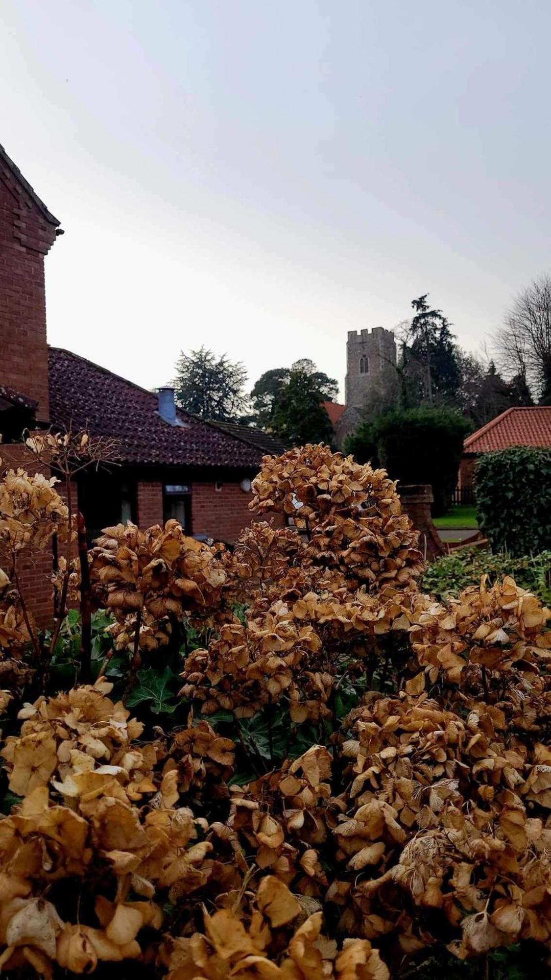 Horsford Church Farm Guest House מראה חיצוני תמונה